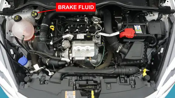 Ford Fiesta brake fluid for show me tell me questions