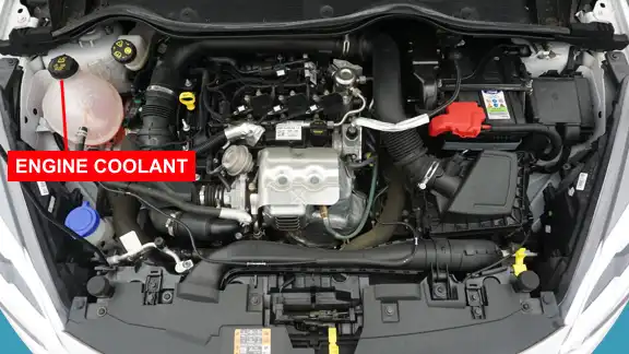 Ford Fiesta engine coolant for show me tell me questions