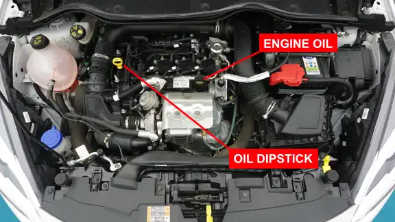 Ford Fiesta engine oil and oil dipstick for show me tell me questions
